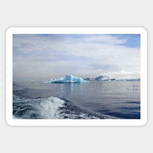 Zodiac Cruising in Cierva Bay, Antarctica Sticker